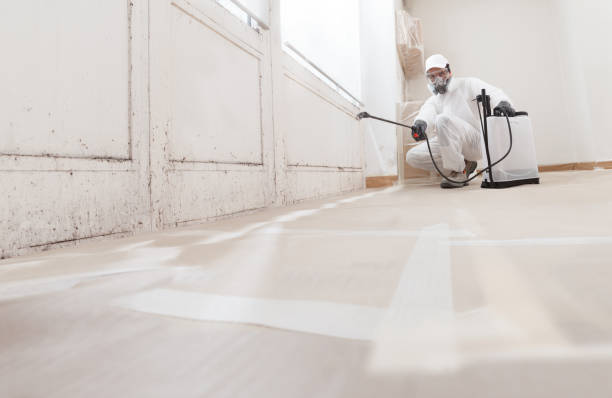 24/7 Emergency Mold Remediation experts in Riverdale, GA