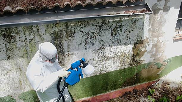 Top rated local Mold Remediation specialists in Riverdale, GA